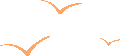 norma, opSzy, font